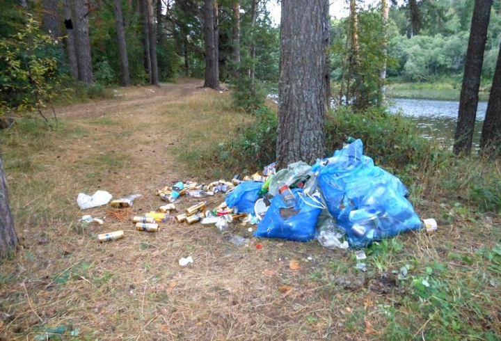 Мусор В Лесу Фото – Telegraph